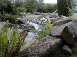 Rockery July 2000